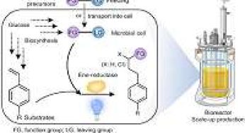 Engineered microbes use light to build new molecules