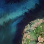 Earth from Space: Netherlands in bloom