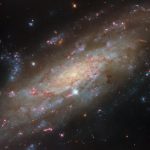 Starry spiral in a familiar neighbourhood