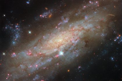Starry spiral in a familiar neighbourhood