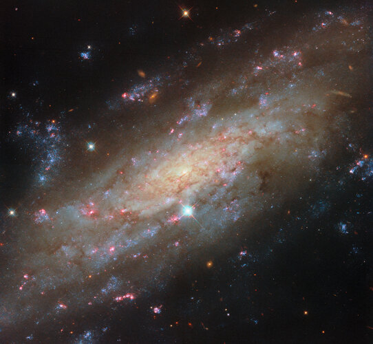 Starry spiral in a familiar neighbourhood