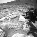 Curiosity Blog