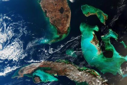 Week in images: 15-19 June 2026