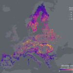 Europe’s forests losing more biomass since 2018
