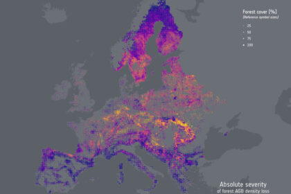 Europe’s forests losing more biomass since 2018
