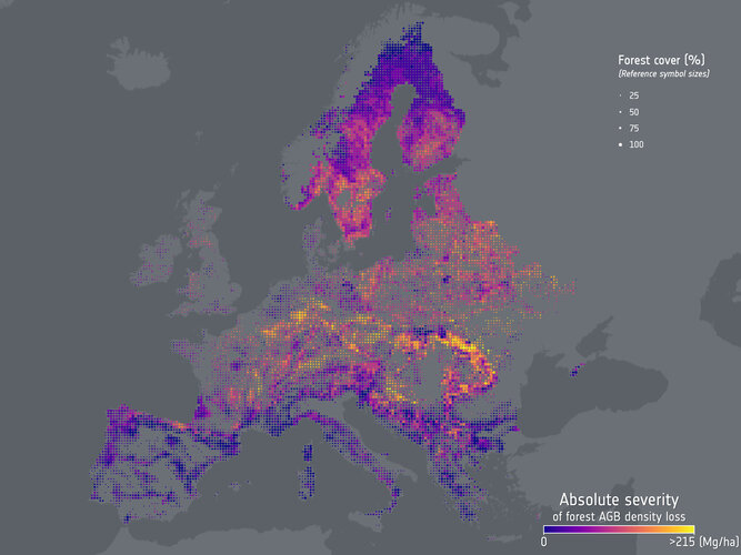 Europe’s forests losing more biomass since 2018