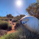 SpaceX’s new Starfall program offers validation and competition for reentry startups