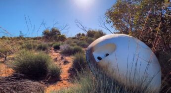 SpaceX’s new Starfall program offers validation and competition for reentry startups