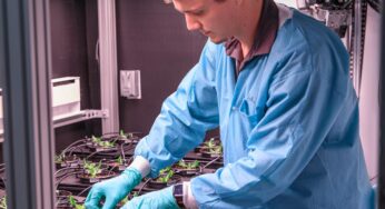 NASA, International Partners Advance Work on Space Crops