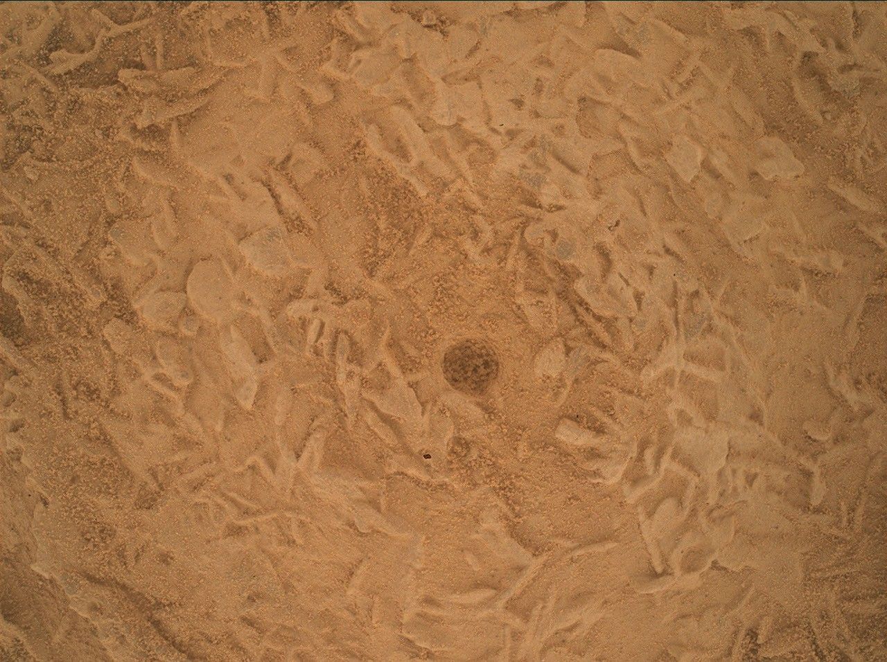 Curiosity Blog